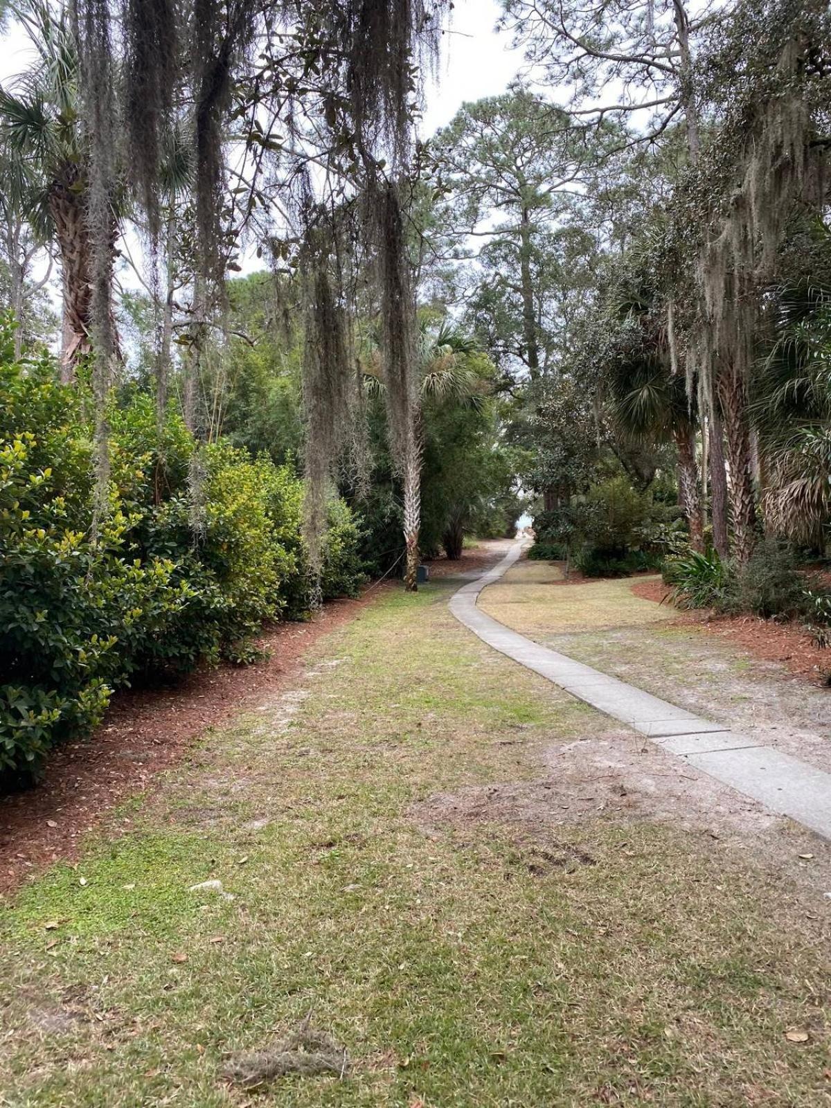 6 Wood Ibis - Host2Coast Villa Hilton Head Island Bagian luar foto